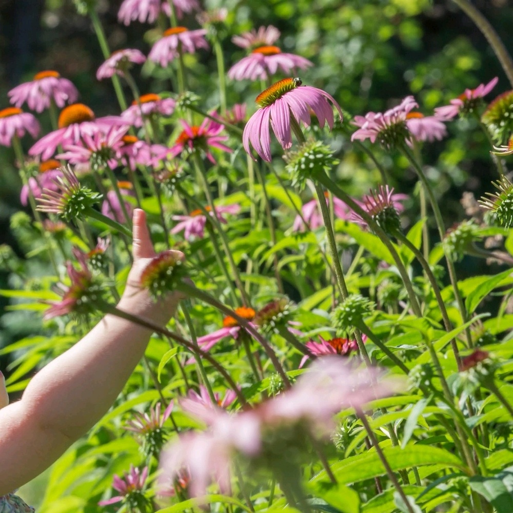 Meet your Posher, Bryna